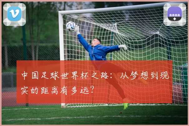 中国足球世界杯之路：从梦想到现实的距离有多远？