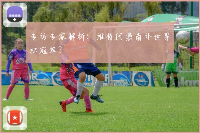 专访专家解析：谁将问鼎南非世界杯冠军？