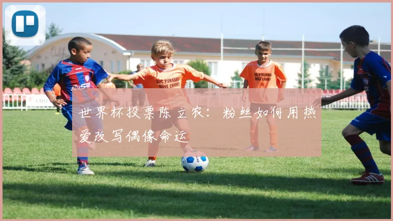 世界杯投票陈立农：粉丝如何用热爱改写偶像命运