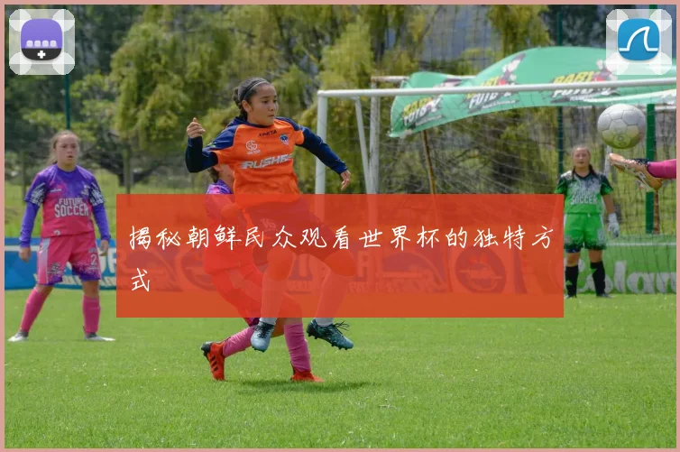 揭秘朝鲜民众观看世界杯的独特方式