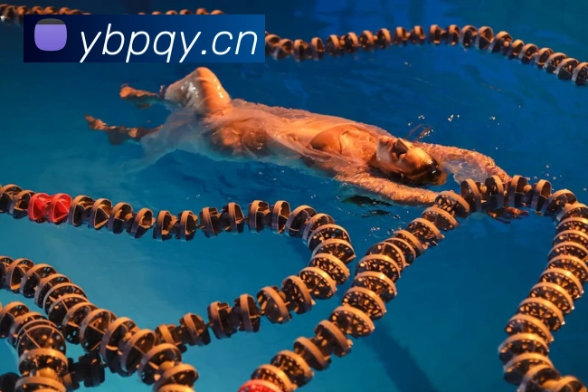 九游网页版本官网平台生态图