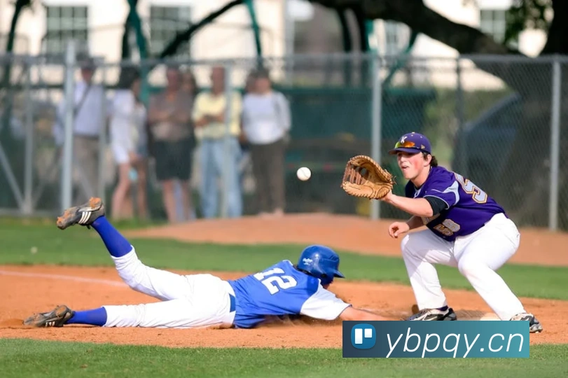 九游网页版本官网APP 封面图